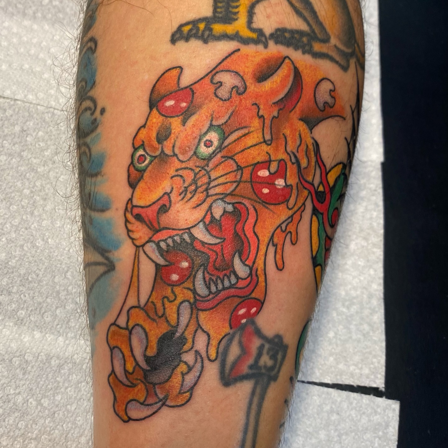 Tiger American traditional tattoo on the forearm by Hannah Edwards, Austin, Texas