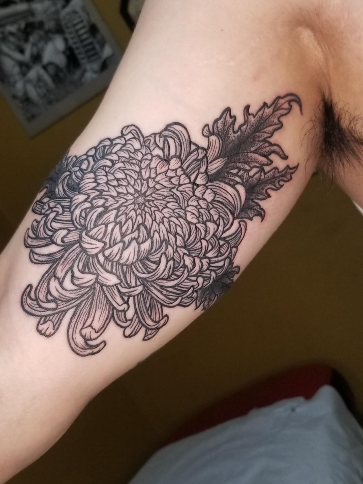 Chrysanthemum black and grey tattoo on the forearm by Jason Middelton