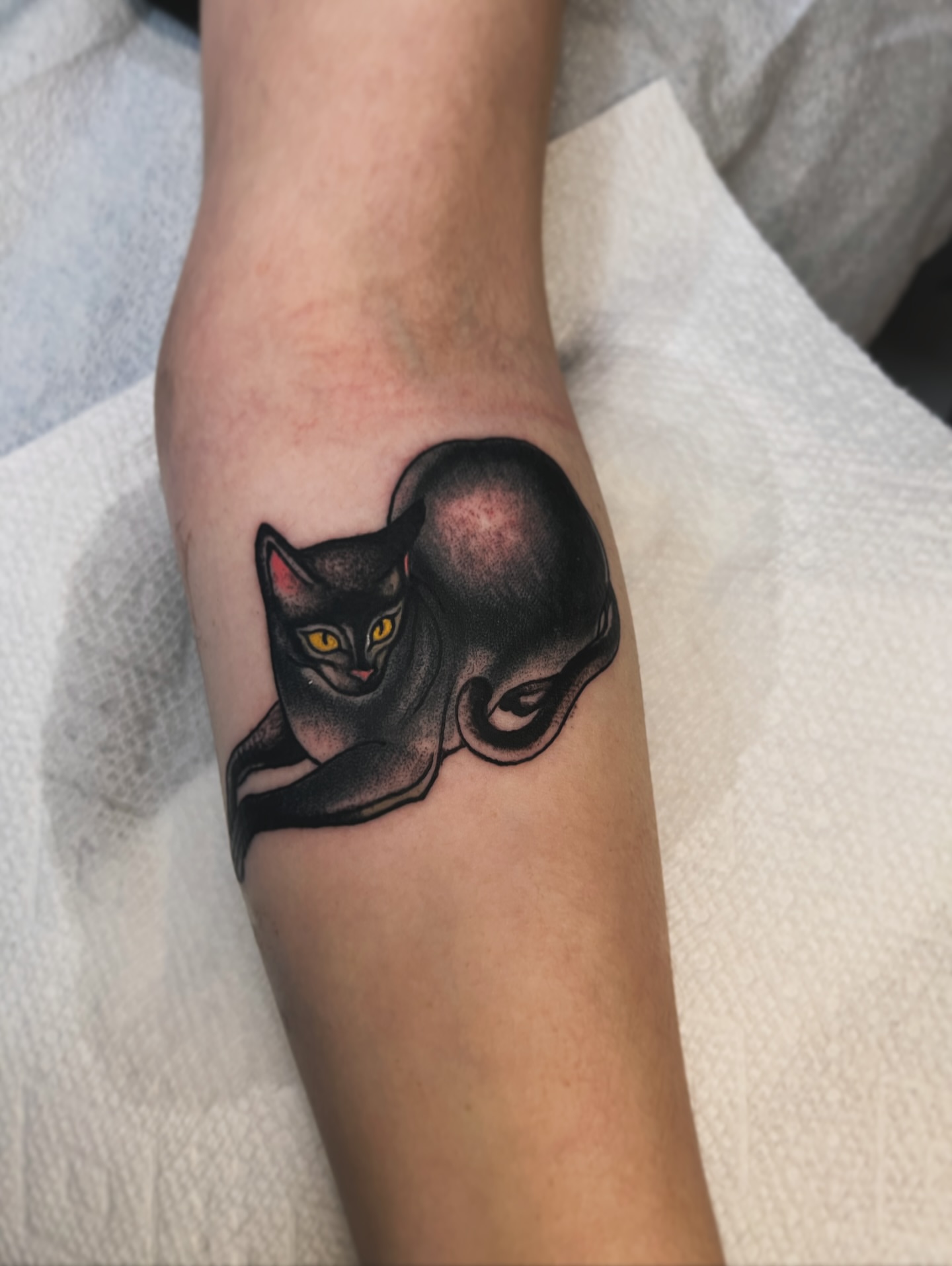 Cat realism tattoo on the forearm by superteal