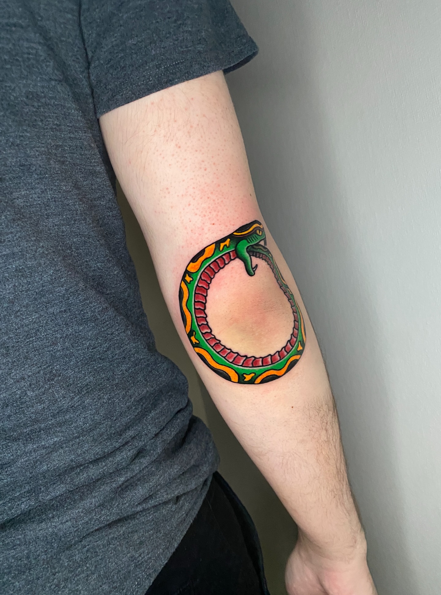 Snake new school tattoo on the forearm by Aidan Leery, Portland, Oregon