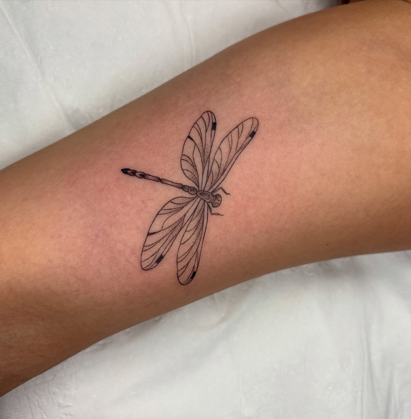 Dragonfly black and grey tattoo on the forearm by Fineline tattoos by Kinsey