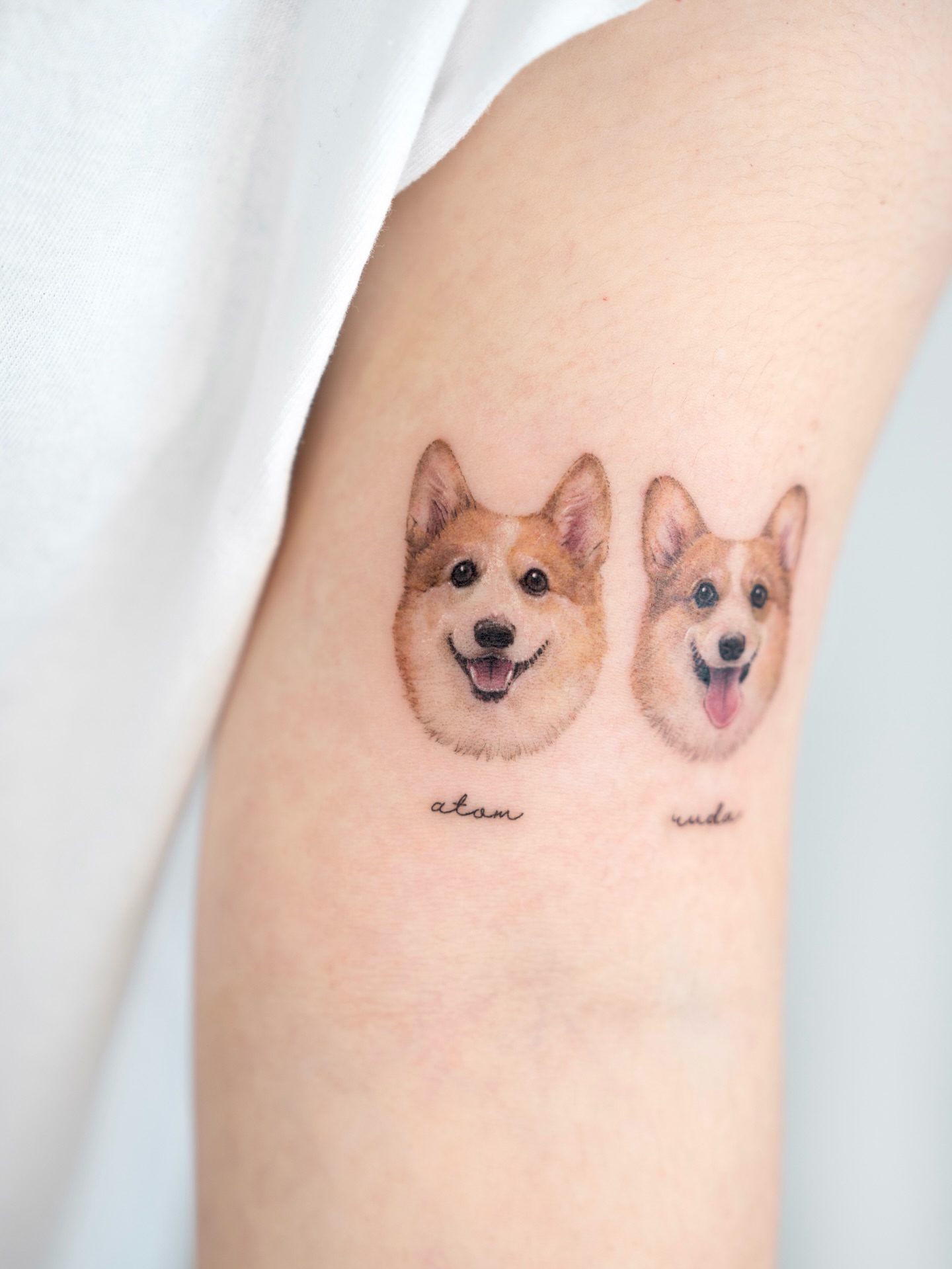 Corgi dogs realism tattoo on the forearm by Zeeyo 지요