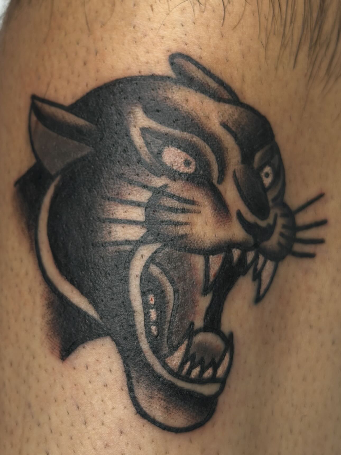 Panther head American traditional tattoo on the upper arm by Stephen Galena