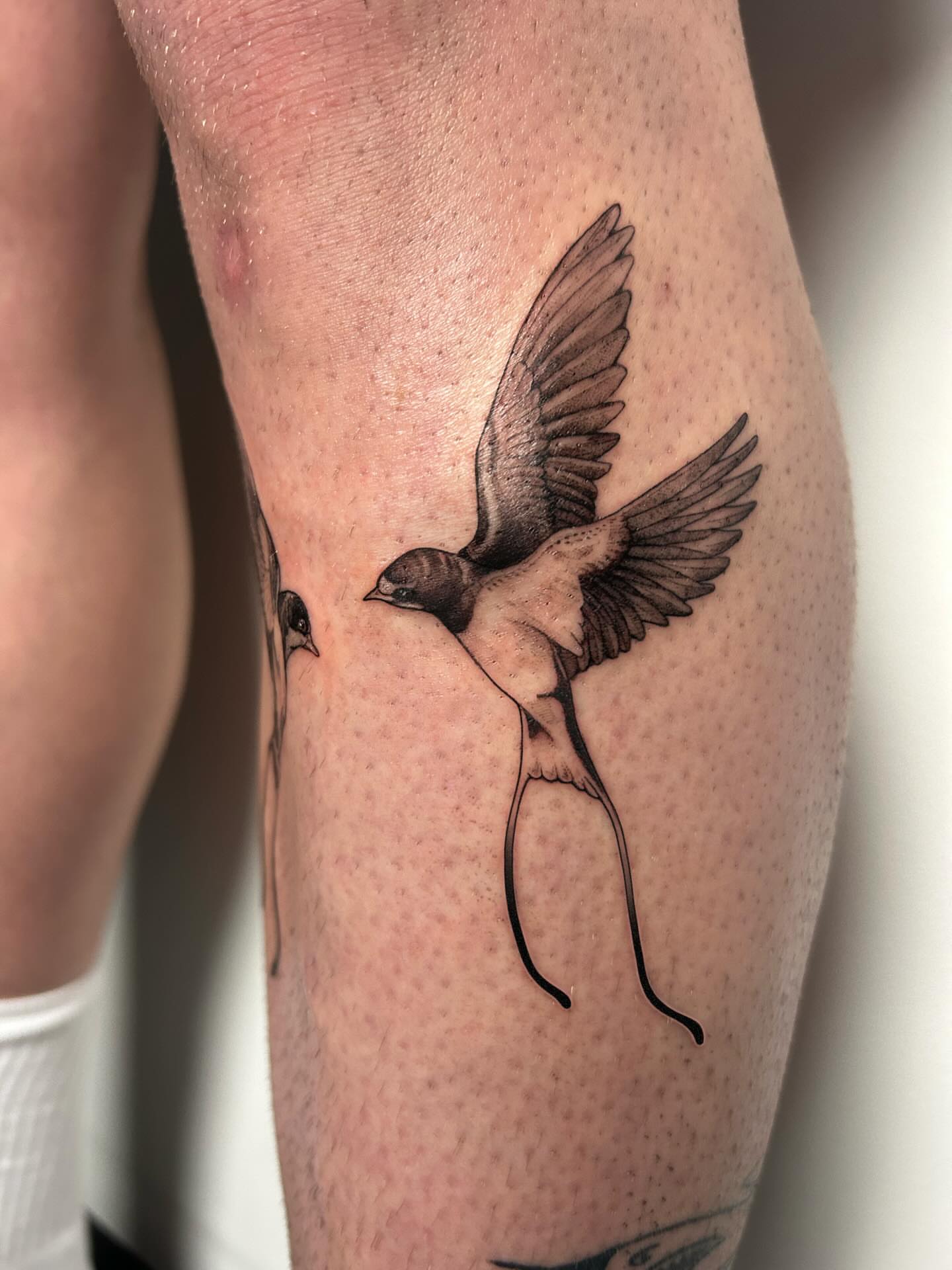 Tattoo by @hayleybayleytattoos — black_and_grey