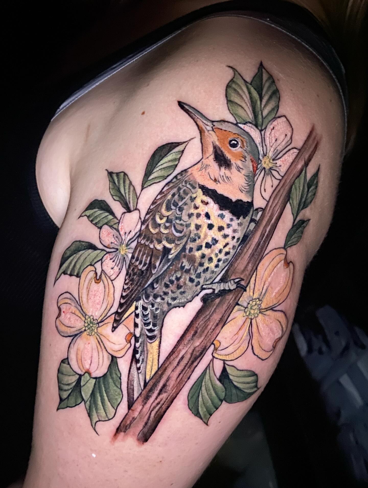 Northern flicker and dogwood flowers realism tattoo on the shoulder by Casey Dohner