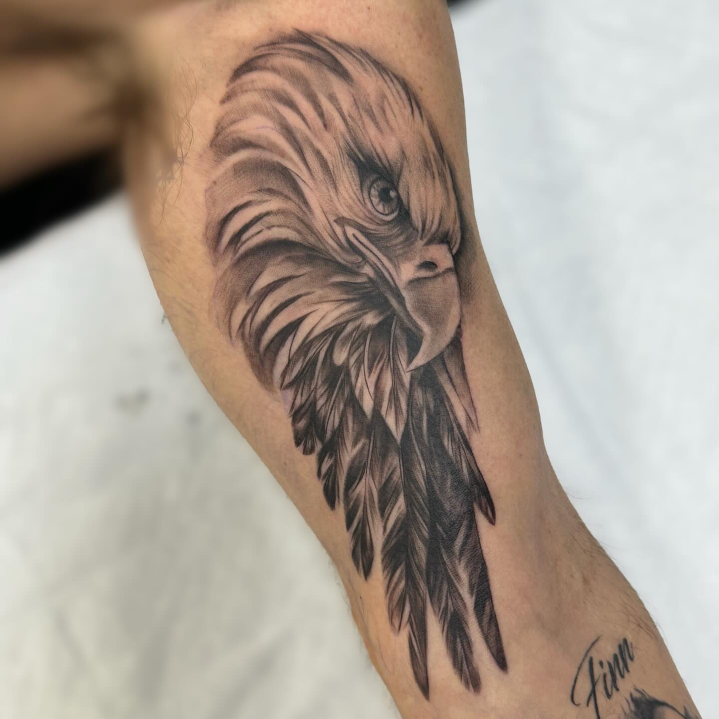 Eagle realism tattoo on the forearm by Elly Bordwell