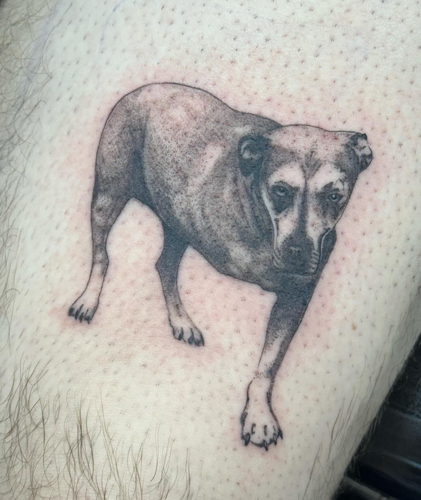 Dog black and grey tattoo on the thigh by Olivia Norbert