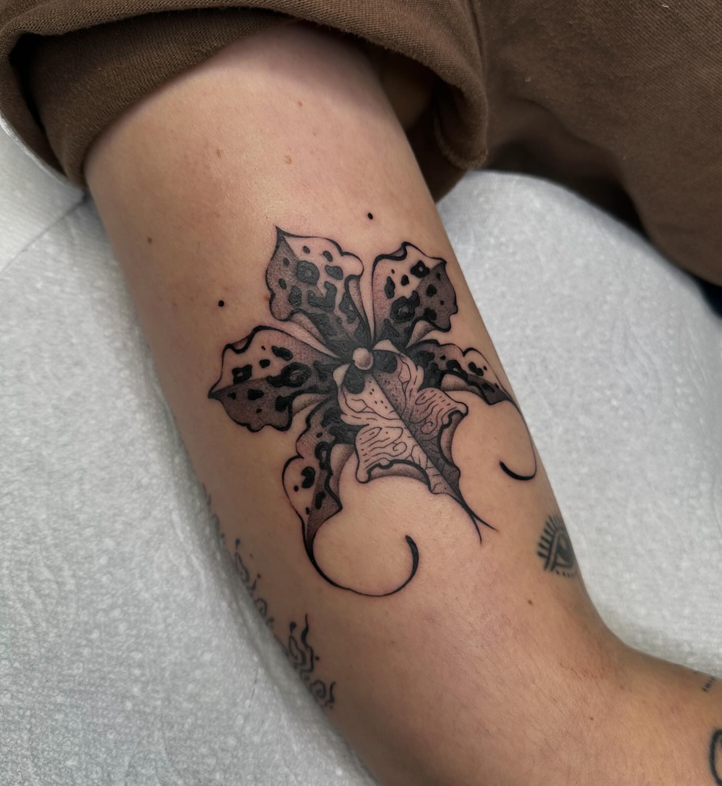 Hibiscus flower black and grey tattoo on the forearm by Aleksandra