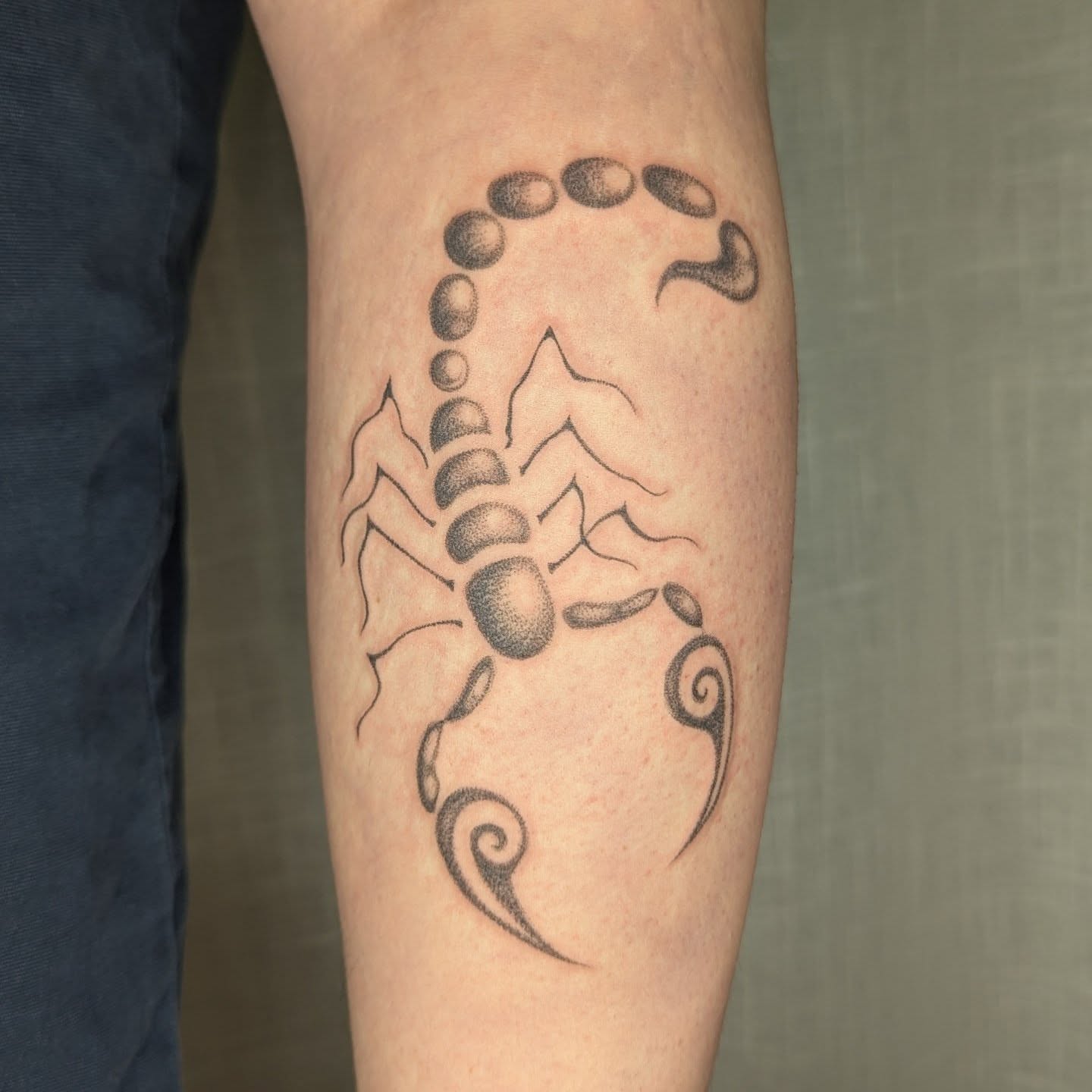 Scorpion dotwork tattoo on the forearm by theo, Portland, Oregon