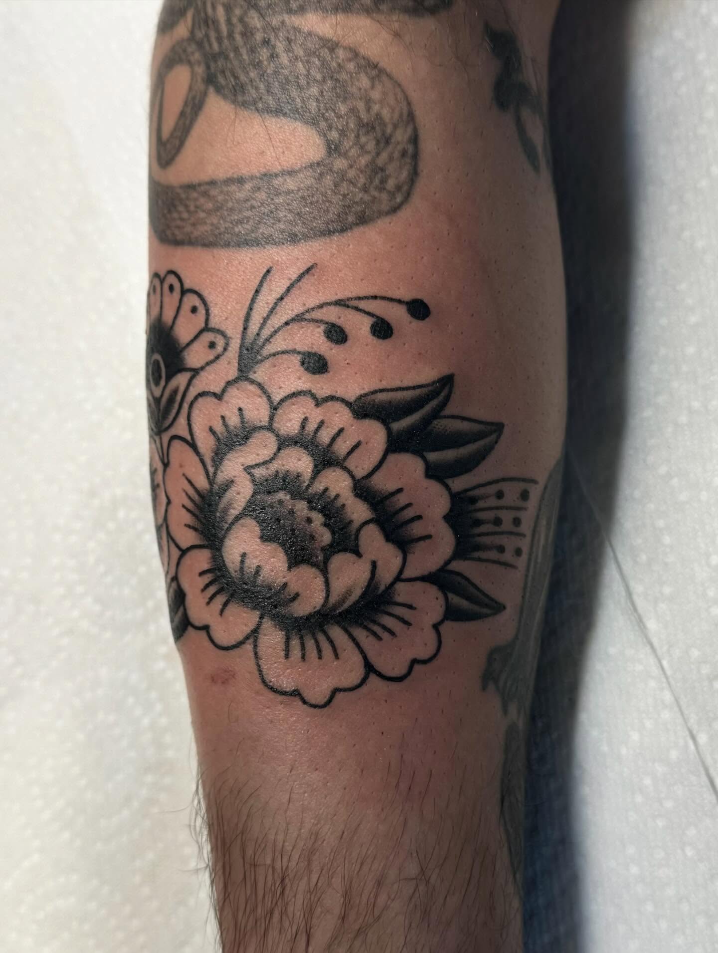 Peony American traditional tattoo on the forearm by ＊ Carly James ＊