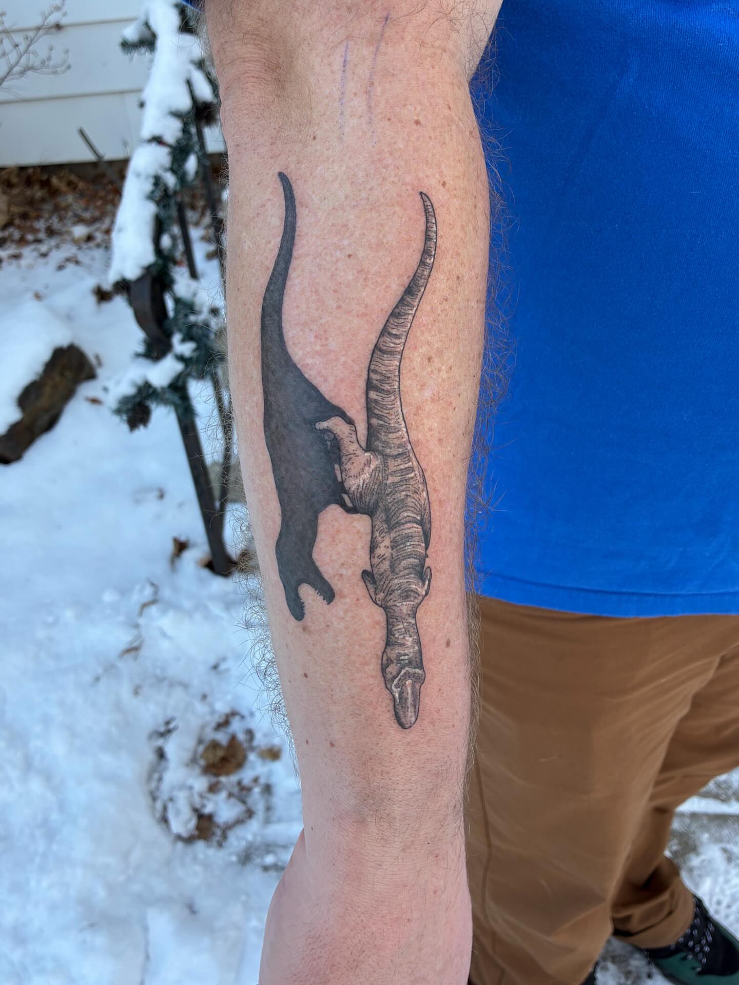 Alligator black and grey tattoo on the forearm by Linzi Hungerford, Bozeman, Montana