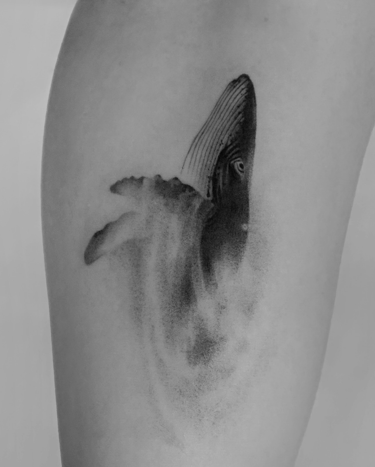 Whale realism tattoo on the forearm by River, New York, New York