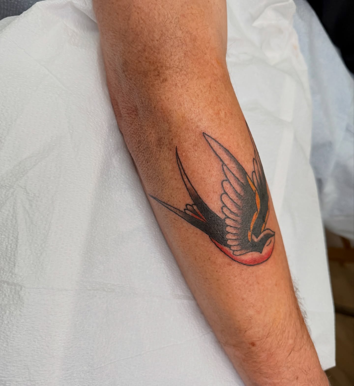 Swallow American traditional tattoo on the forearm by Tyler H. Moon