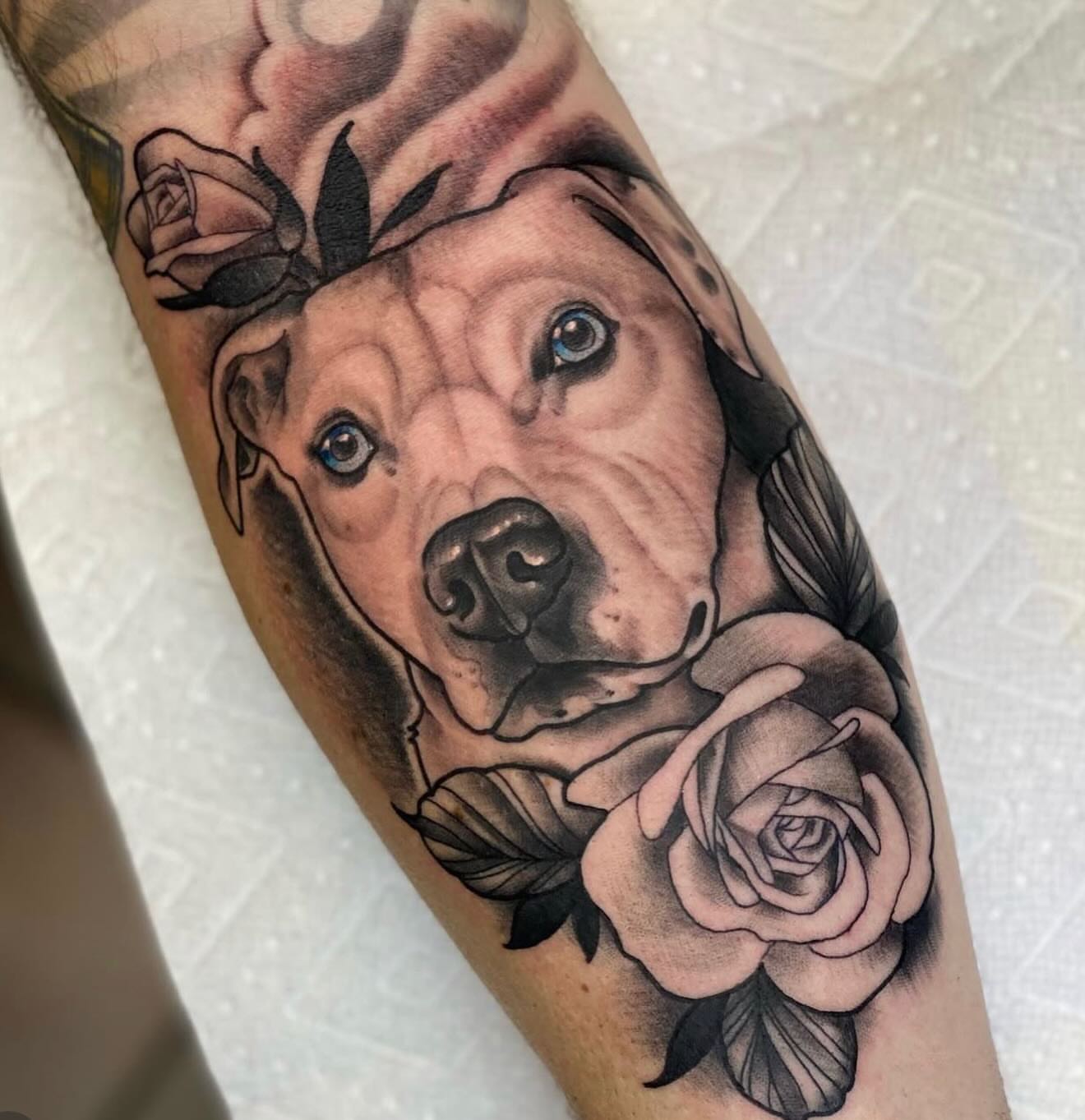 Pitbull and roses realism tattoo on the forearm by Kyle Behr