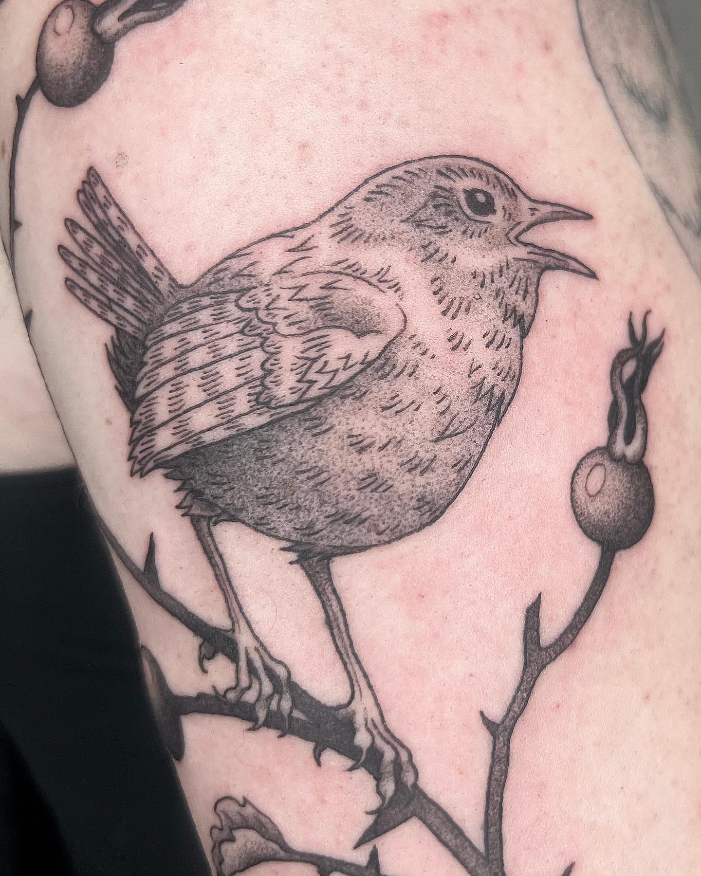 Tattoo by @siltyloamtattoo — dotwork, realism
