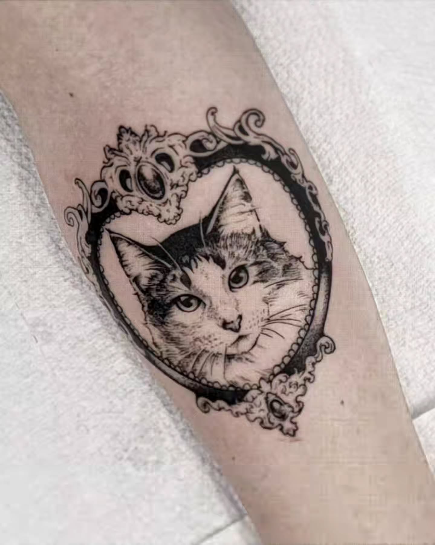 Cat realism tattoo on the forearm by Luca
