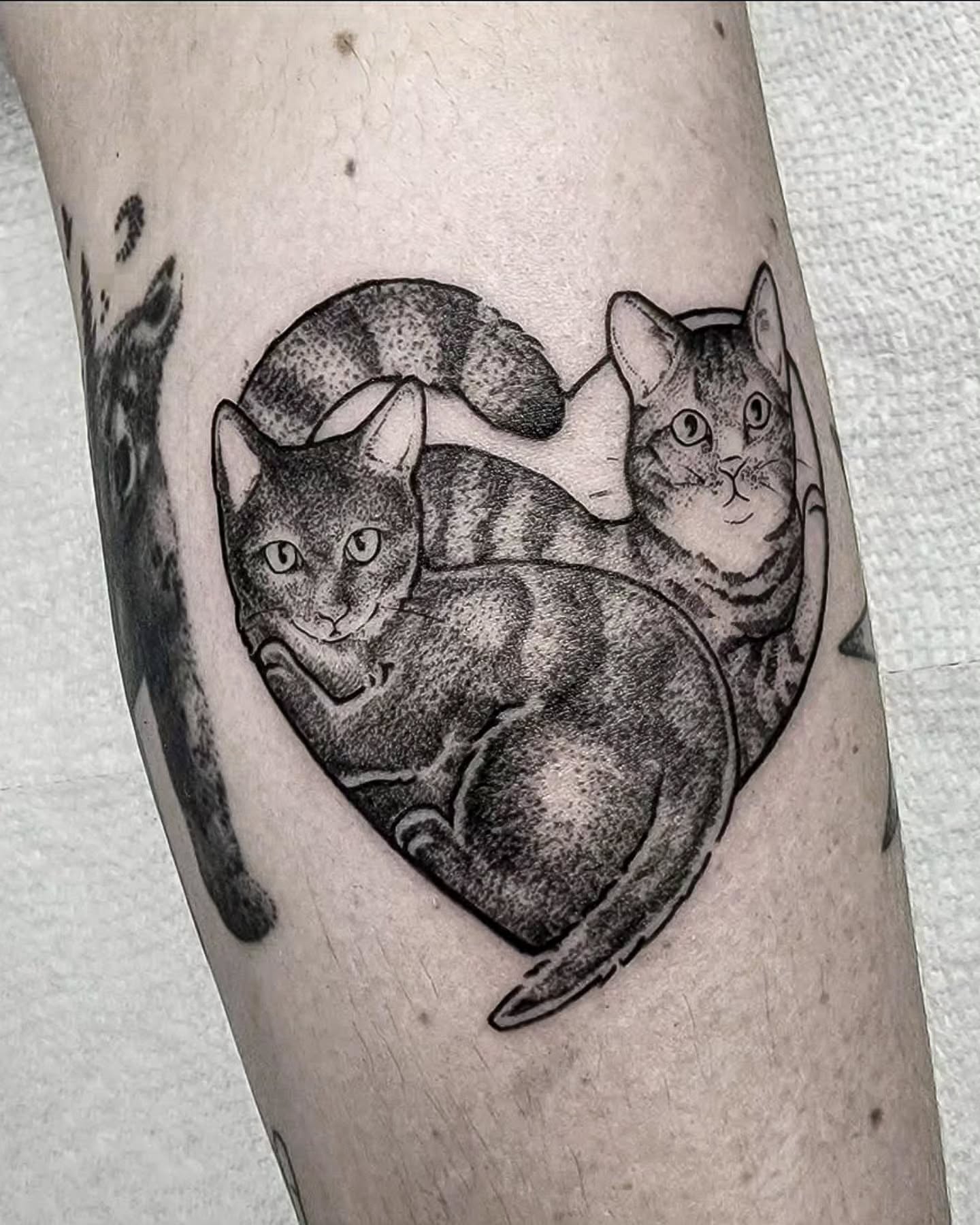 Two cats dotwork tattoo on the forearm by Luca