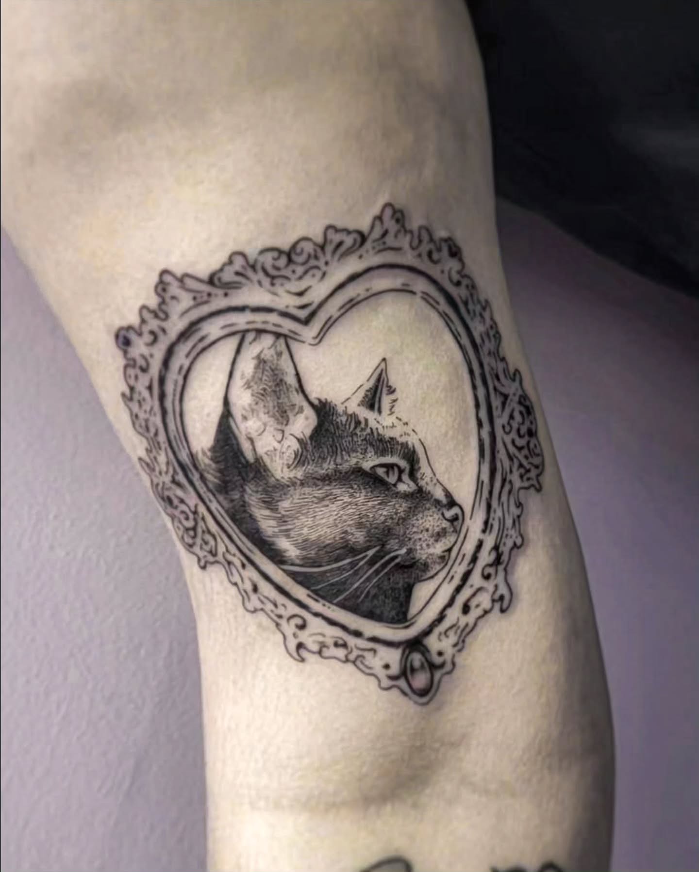 Cat realism tattoo on the forearm by Luca