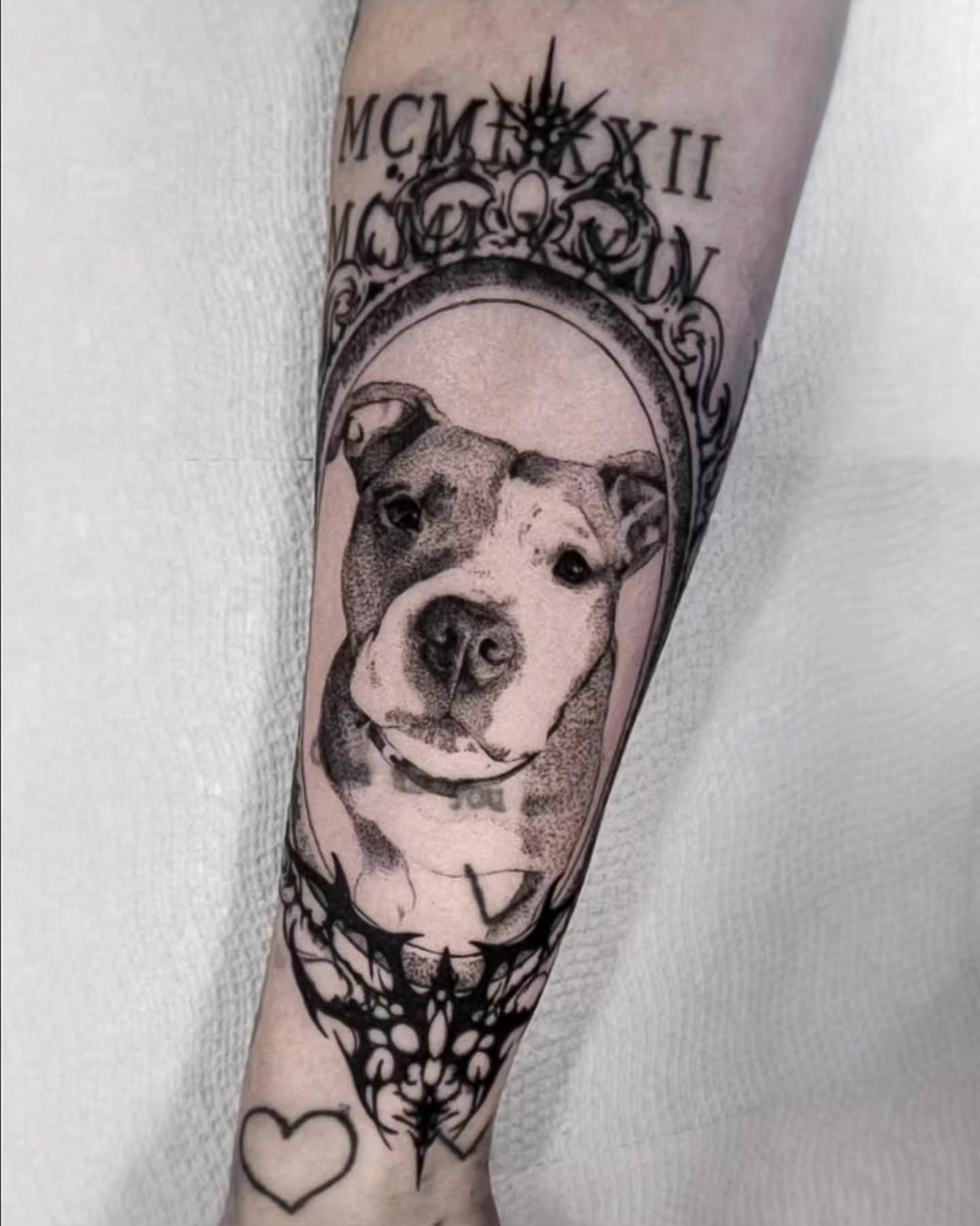 Pit bull dotwork tattoo on the forearm by Luca