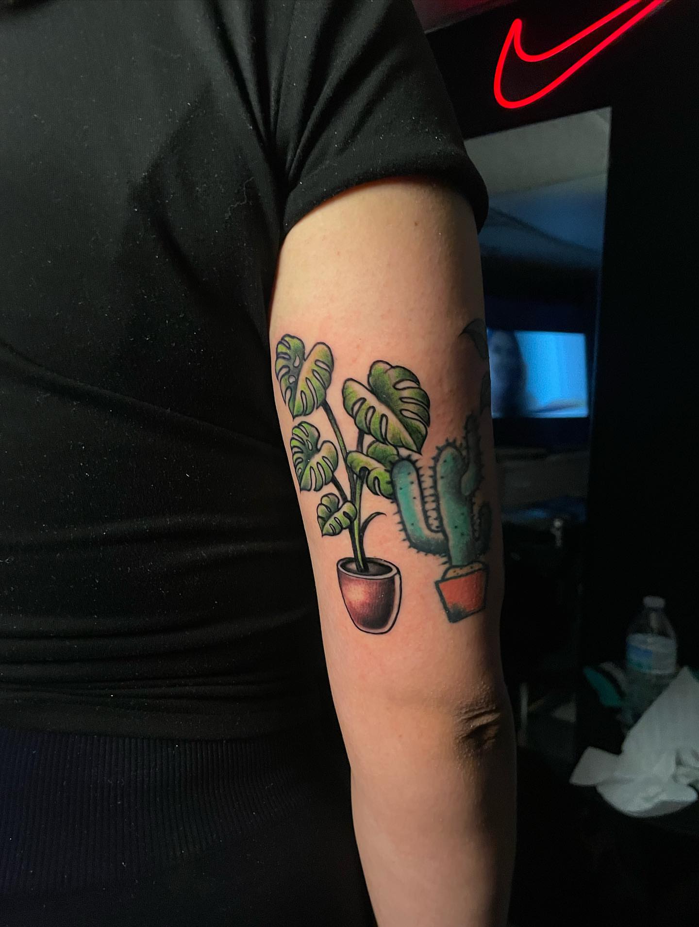 Cactus and plant realism tattoo on the forearm by Nikko