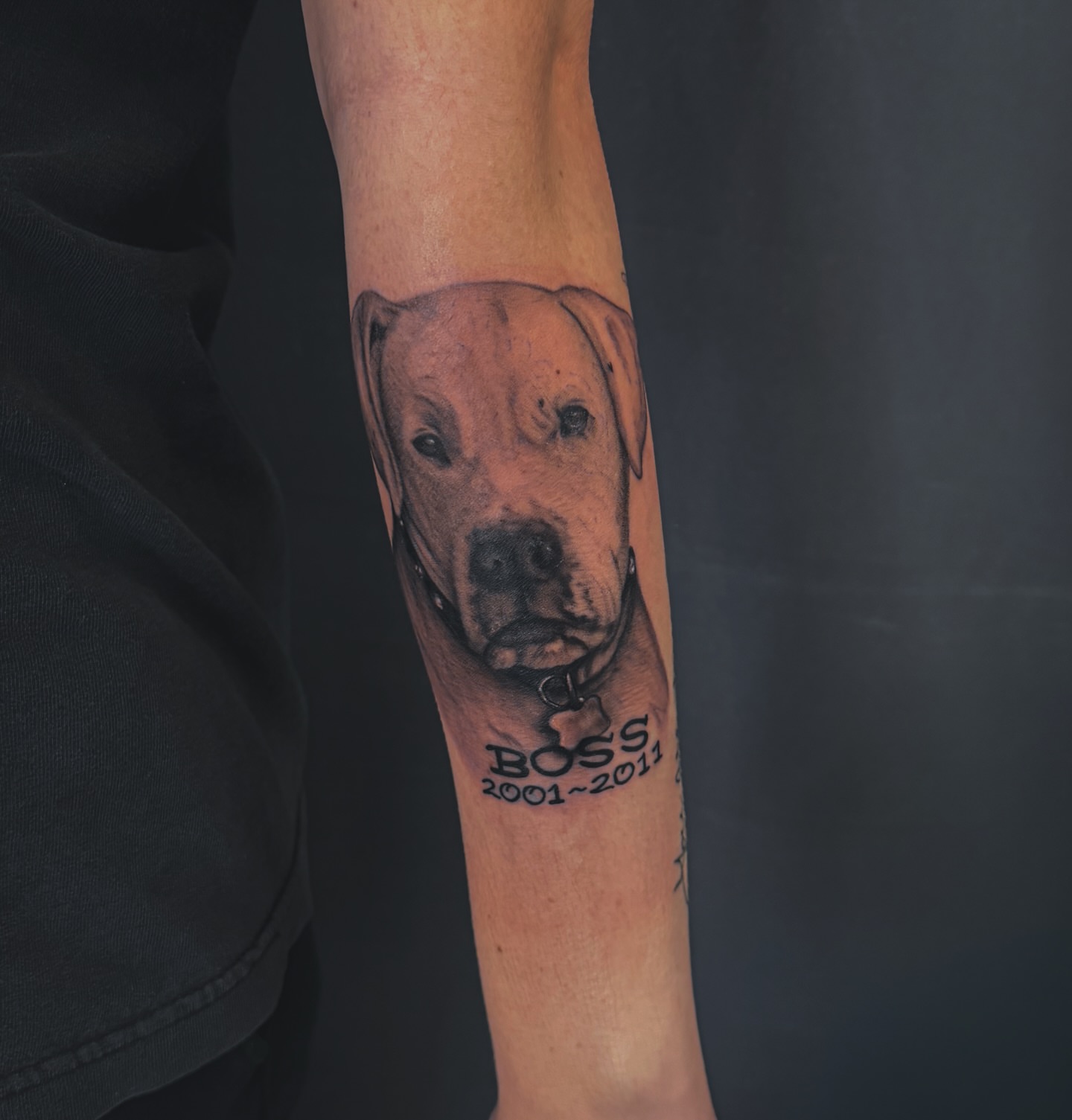 Dog realism tattoo on the forearm by utah tattoo artist