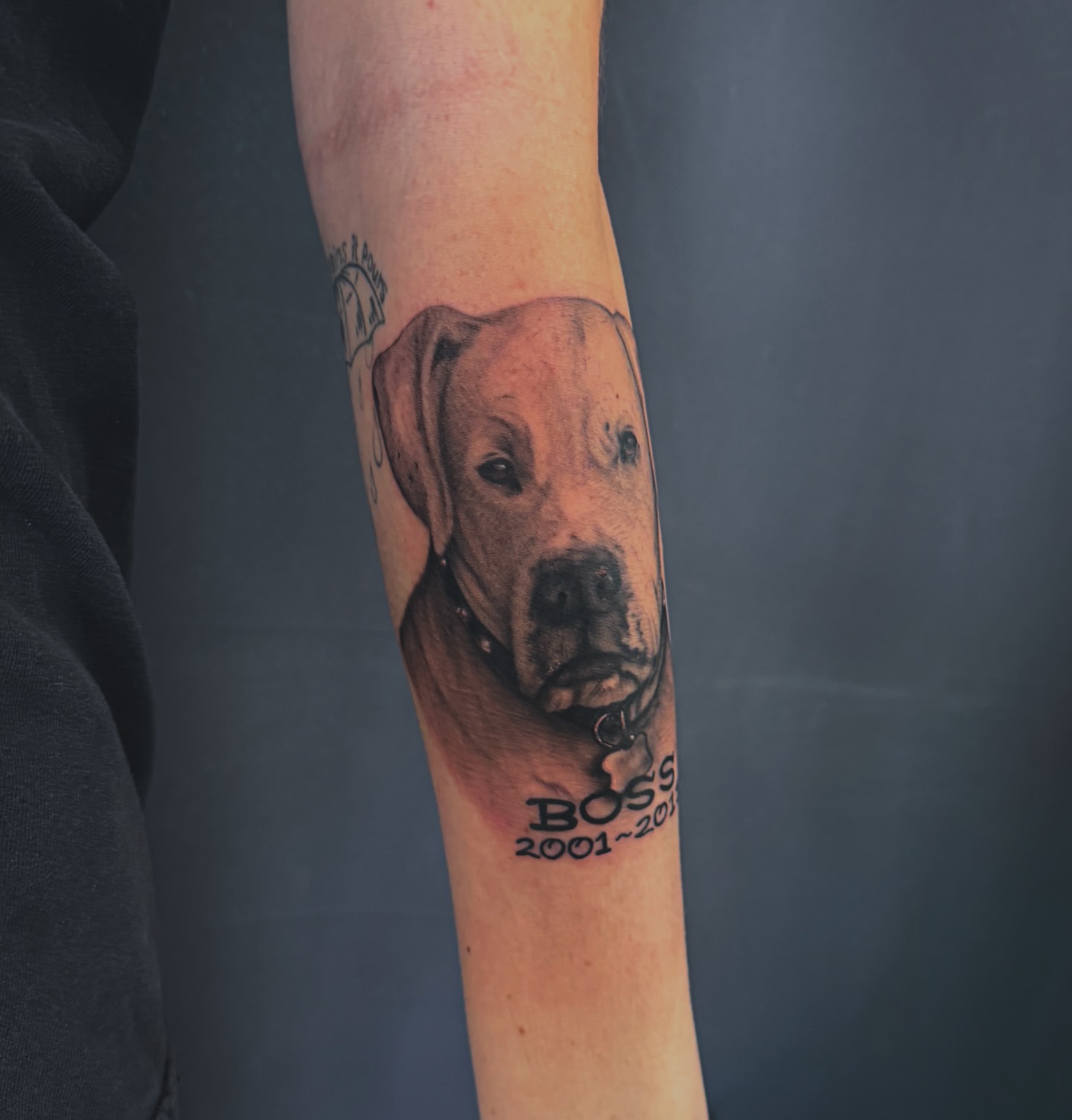 Dog portrait realism tattoo on the forearm by utah tattoo artist