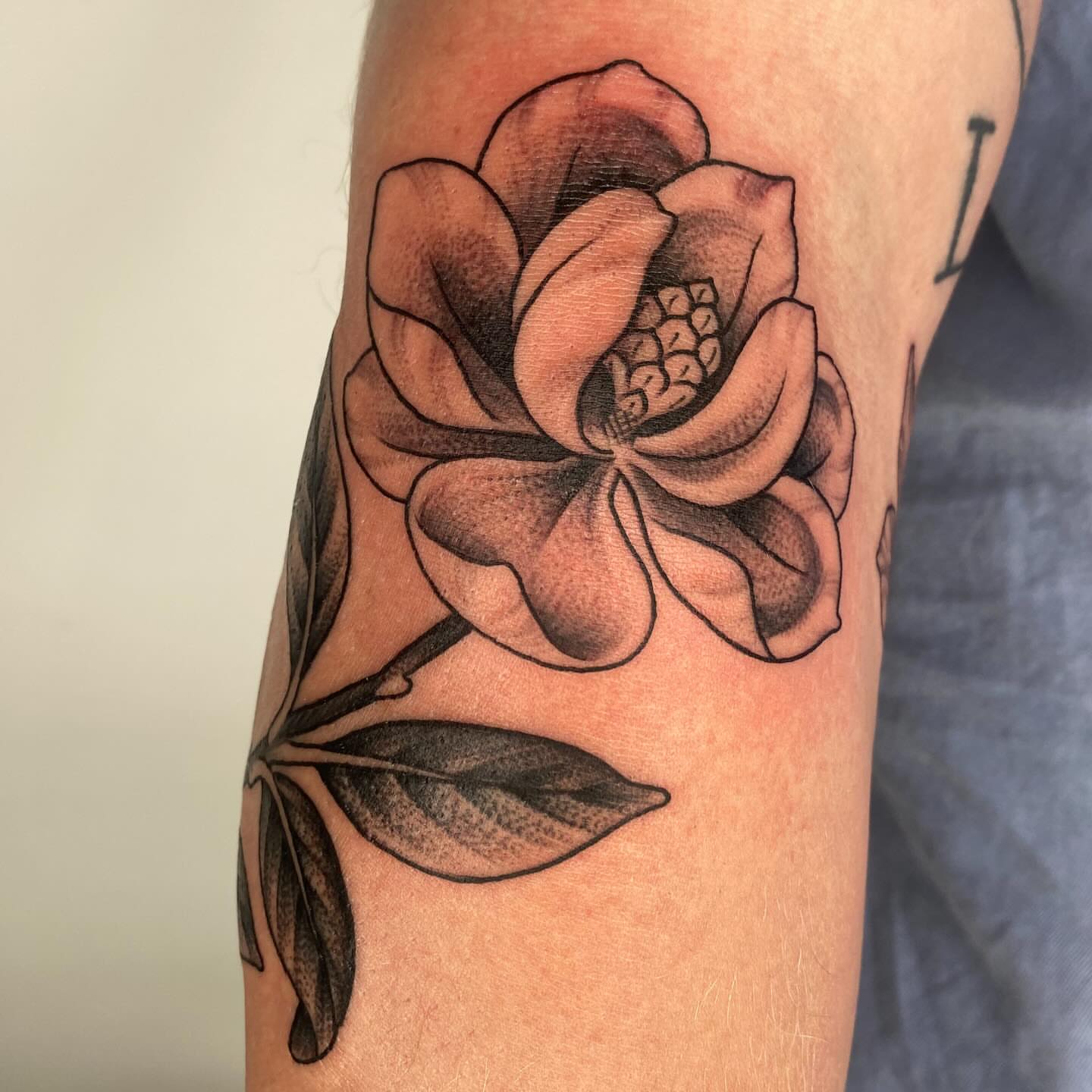 Magnolia flower black and grey tattoo on the forearm by Vivian HavaTattoo, Richmond, Virginia