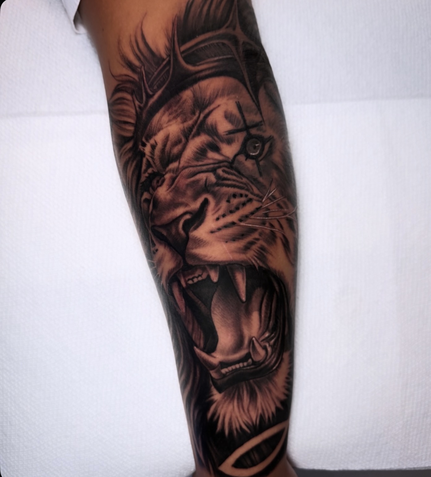 Roaring lion realism tattoo on the forearm by Tattoo Artist