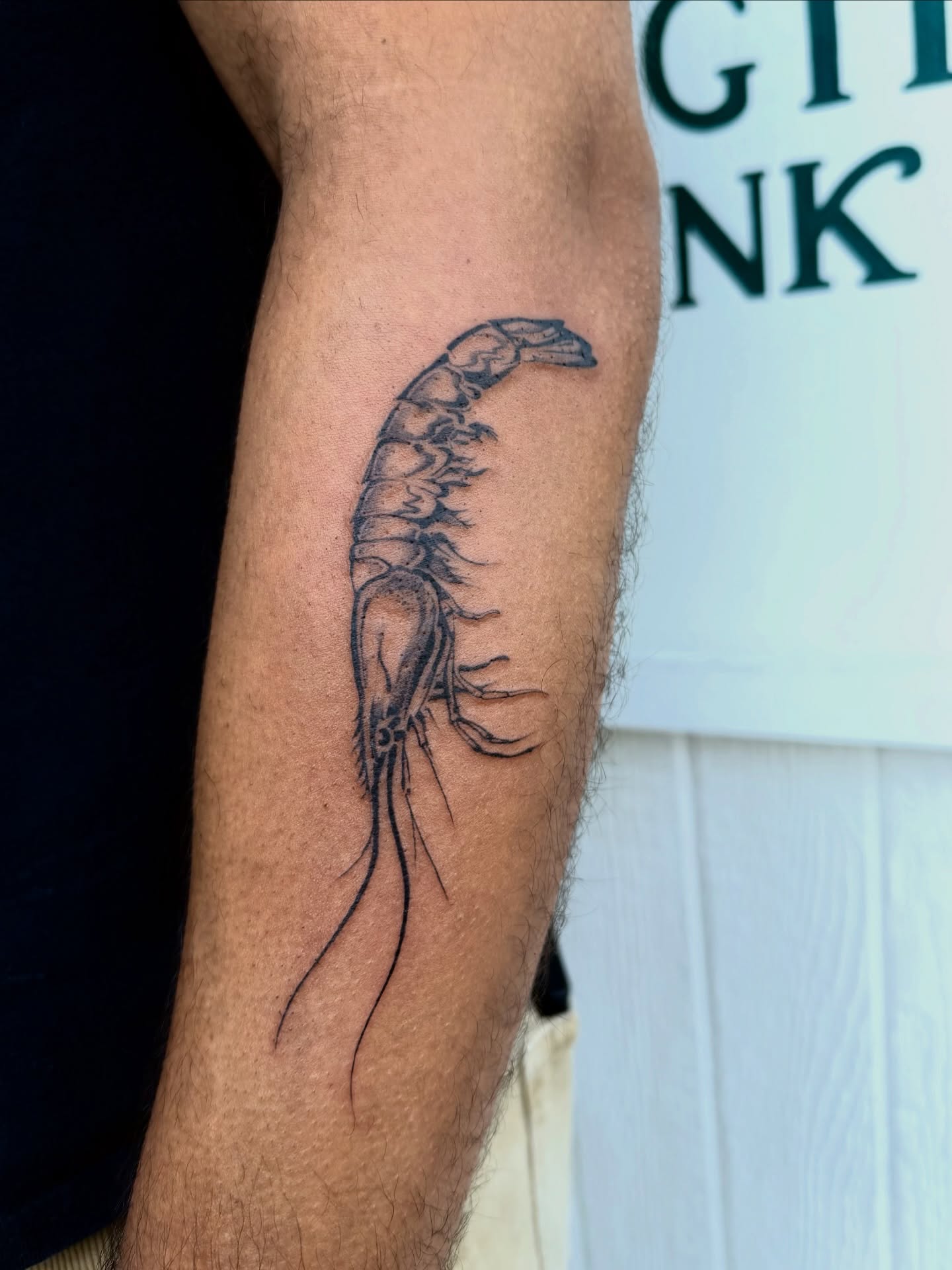 Prawn black and grey tattoo on the forearm by Kingtide Ink