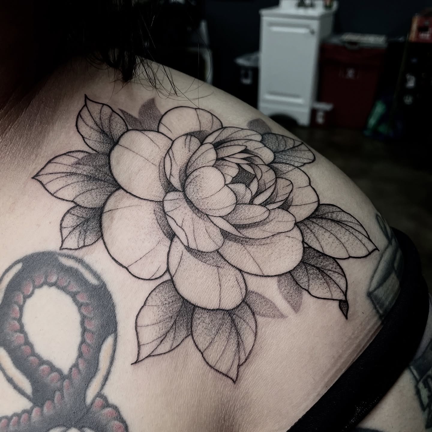 Peony dotwork tattoo on the shoulder by Ducky