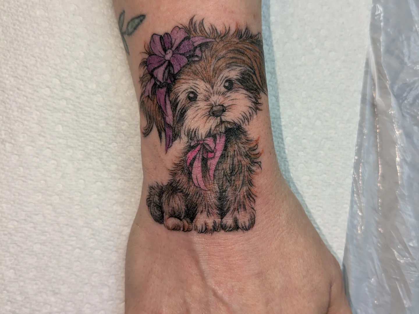 Dog with bow realism tattoo on the forearm by Jessica Thomas Fleischman, Morganton, North Carolina