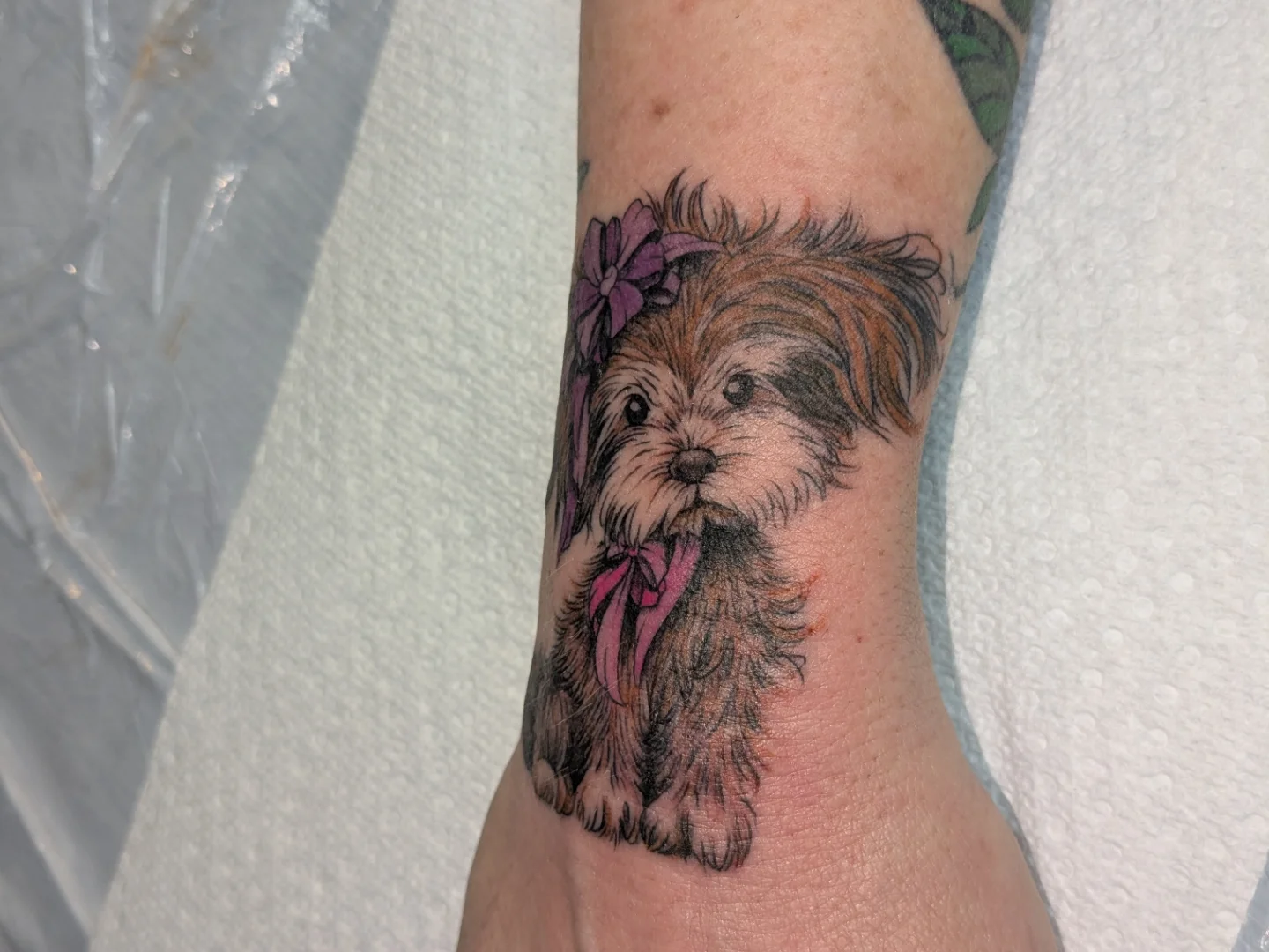 Dog with flower realism tattoo on the forearm by Jessica Thomas Fleischman, Morganton, North Carolina