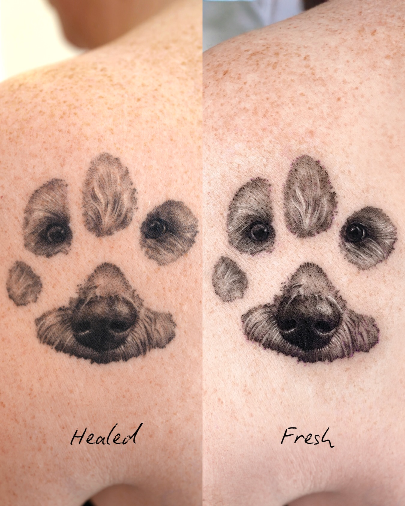Dog paw print black and grey tattoo on the shoulder by Ria Kim 김리아
