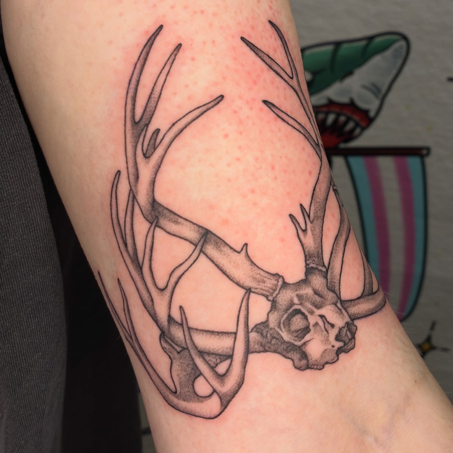 Deer skull black and grey tattoo on the forearm by Lance 🦈