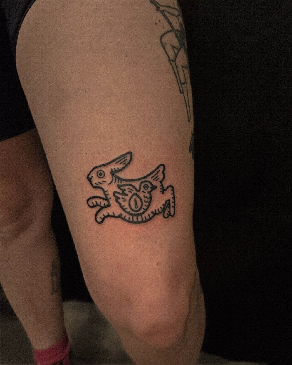 Rabbit and bird black and grey tattoo on the forearm by ashley blyght