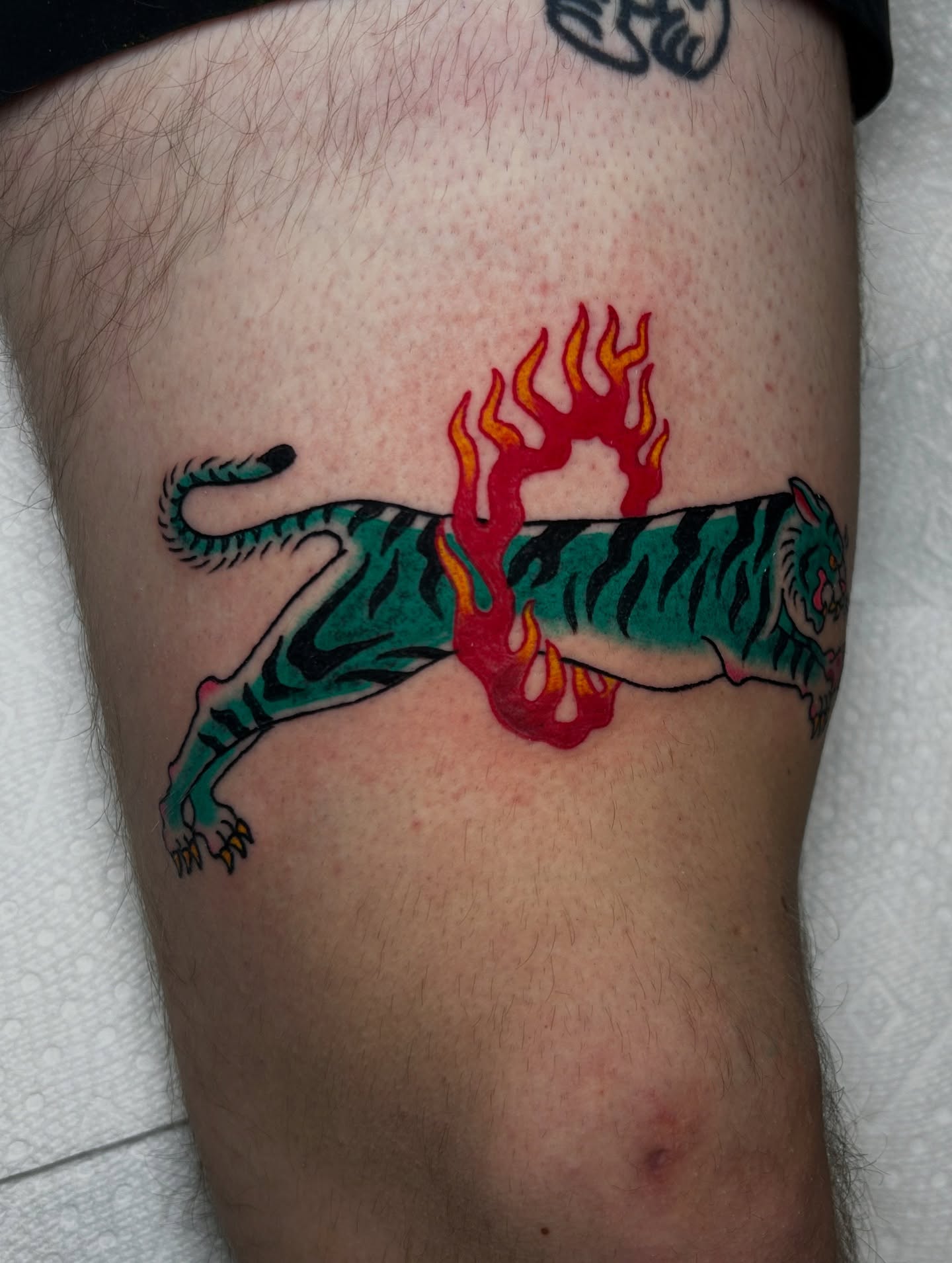 Tiger American traditional tattoo on the thigh by Lily May