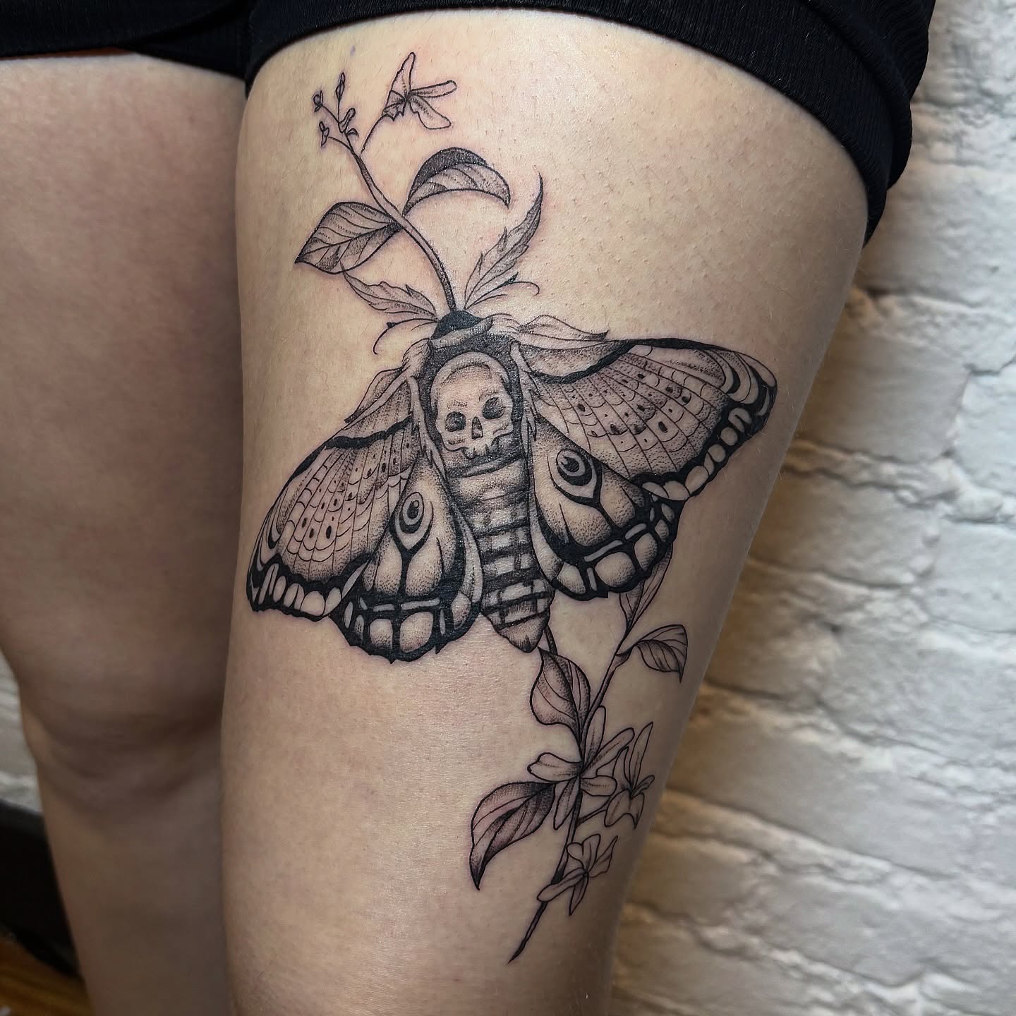 Moth with skull realism tattoo on the thigh by Sydney Gallucci