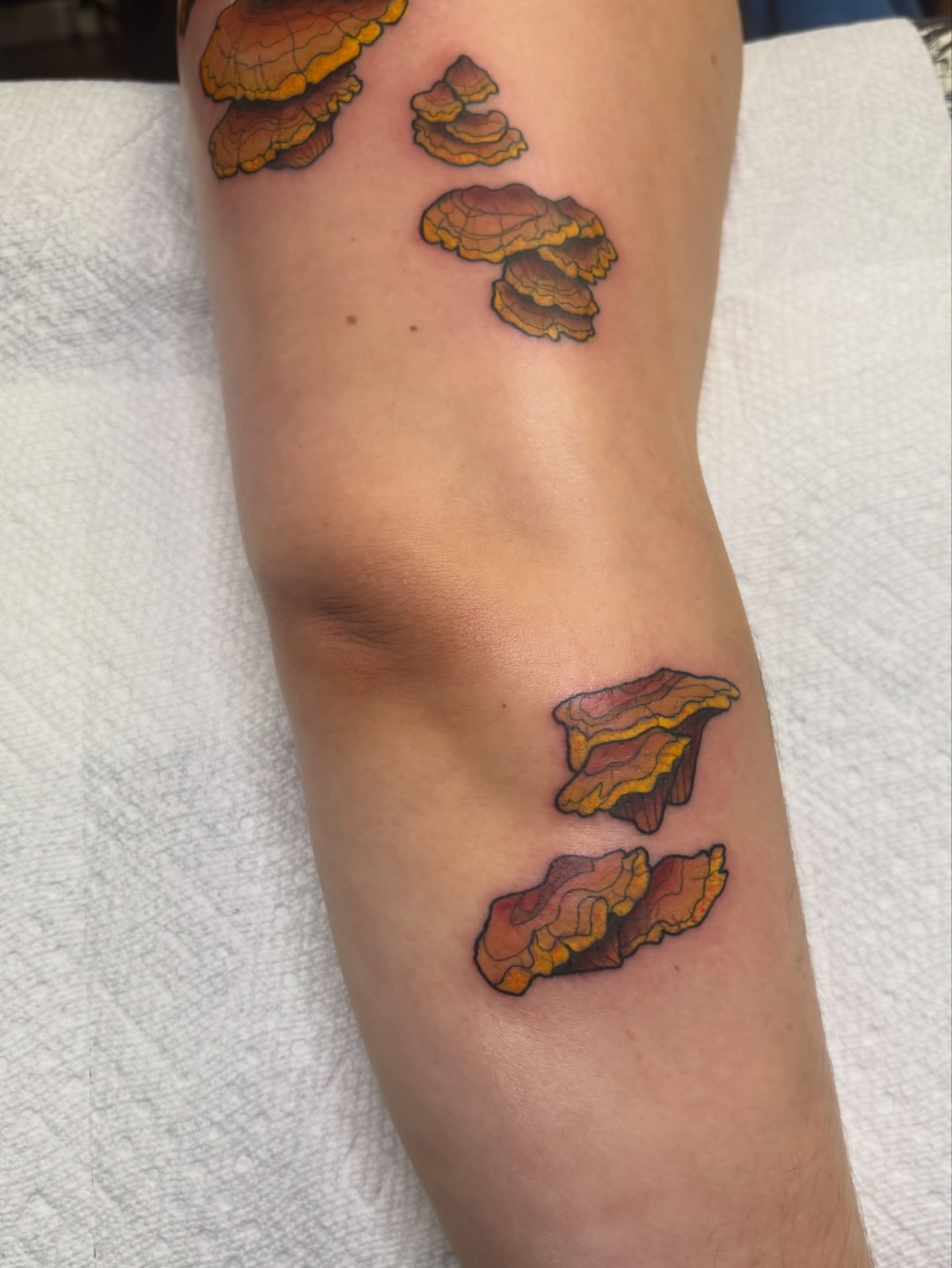 Fungi realism tattoo on the forearm by MJ Saunders
