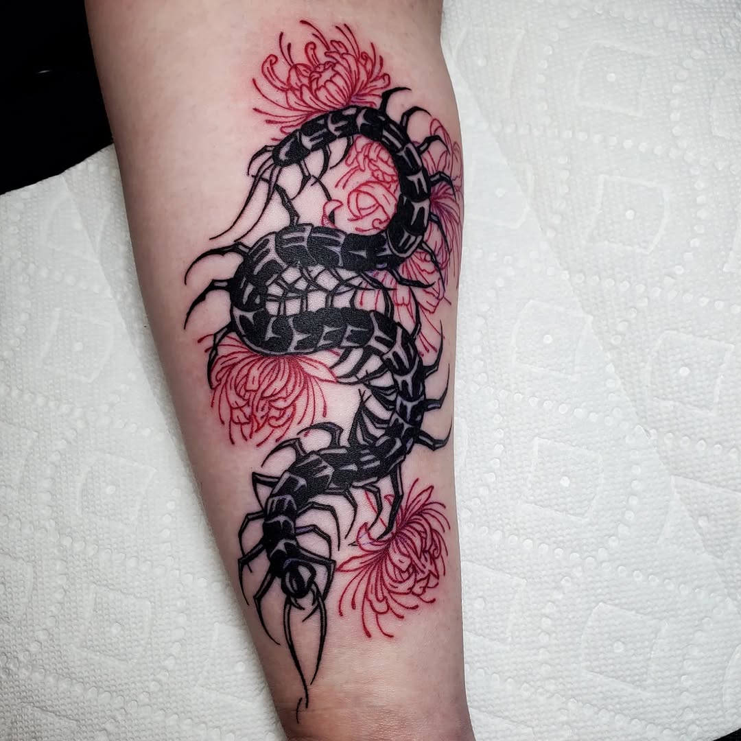 Tattoo by @shaileypasquale — blackwork, illustrative