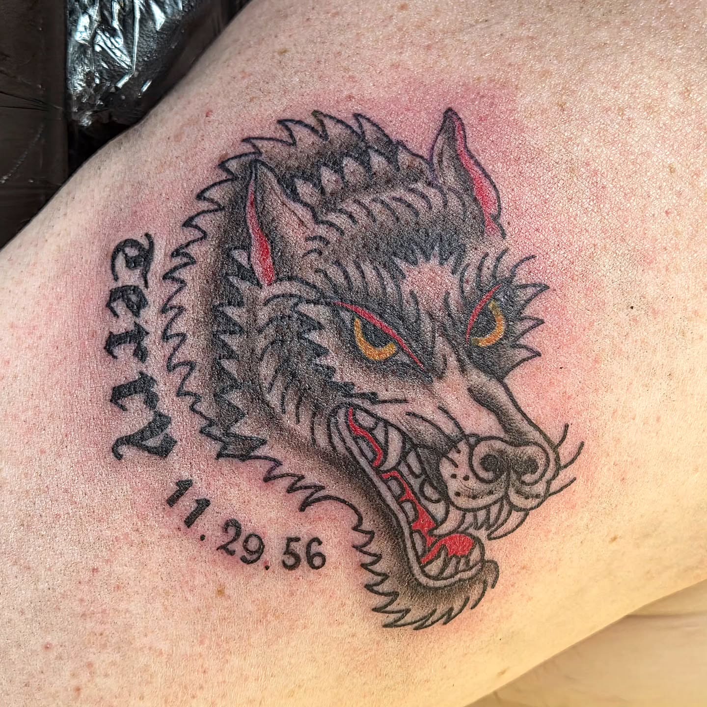 Wolf American traditional tattoo on the thigh by Kat Coniglio Art