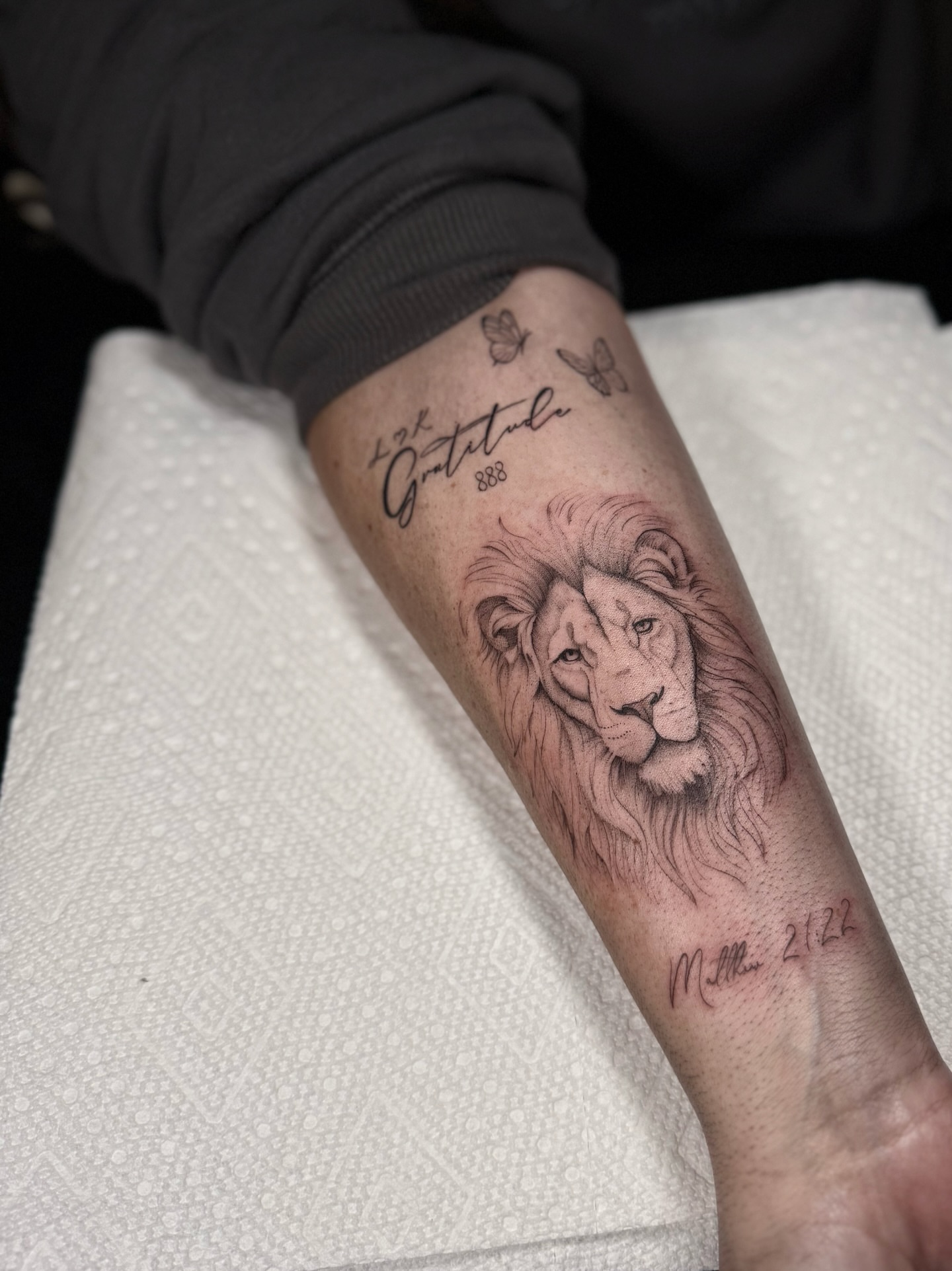 Lion realism tattoo on the forearm by ꜰɪɴᴇ ʟɪɴᴇ ᴛᴀᴛᴛᴏᴏꜱ