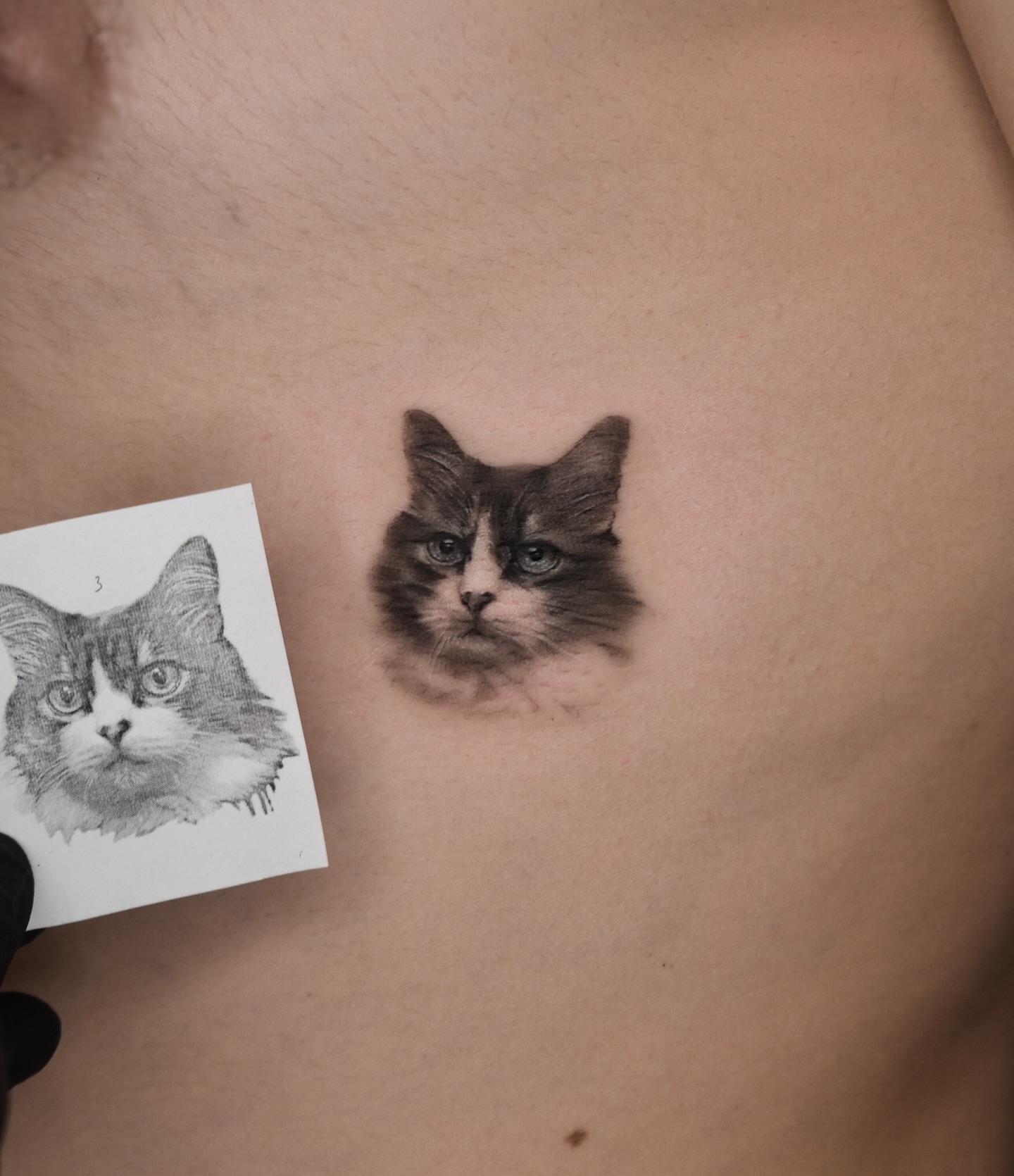 Tattoo by @biyanova_microrealism_tattoo — realism