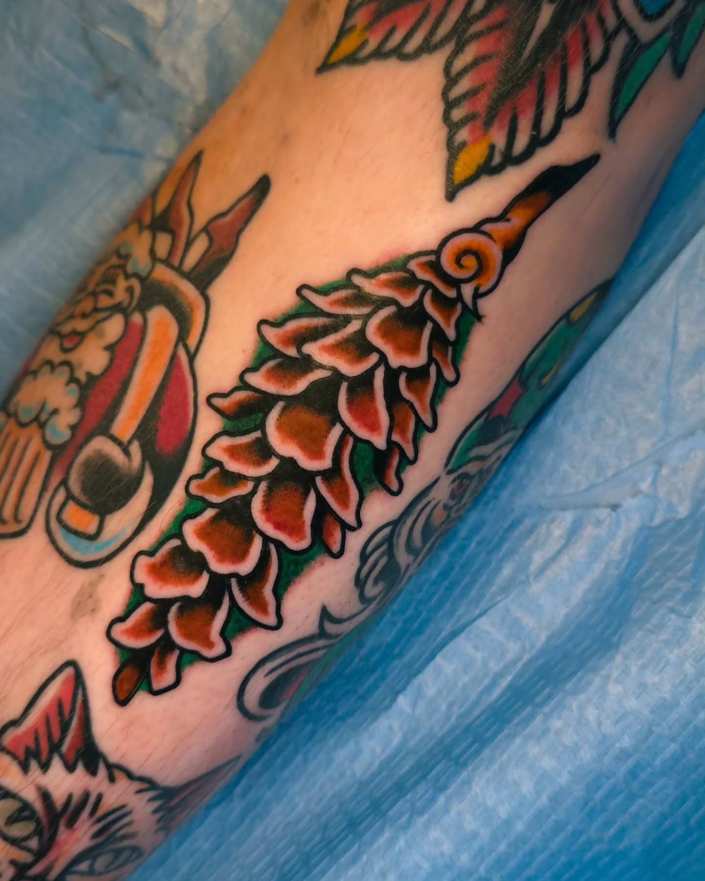 Pine cone American traditional tattoo on the forearm by J. Kirsch New Jersey Tattoo Artist