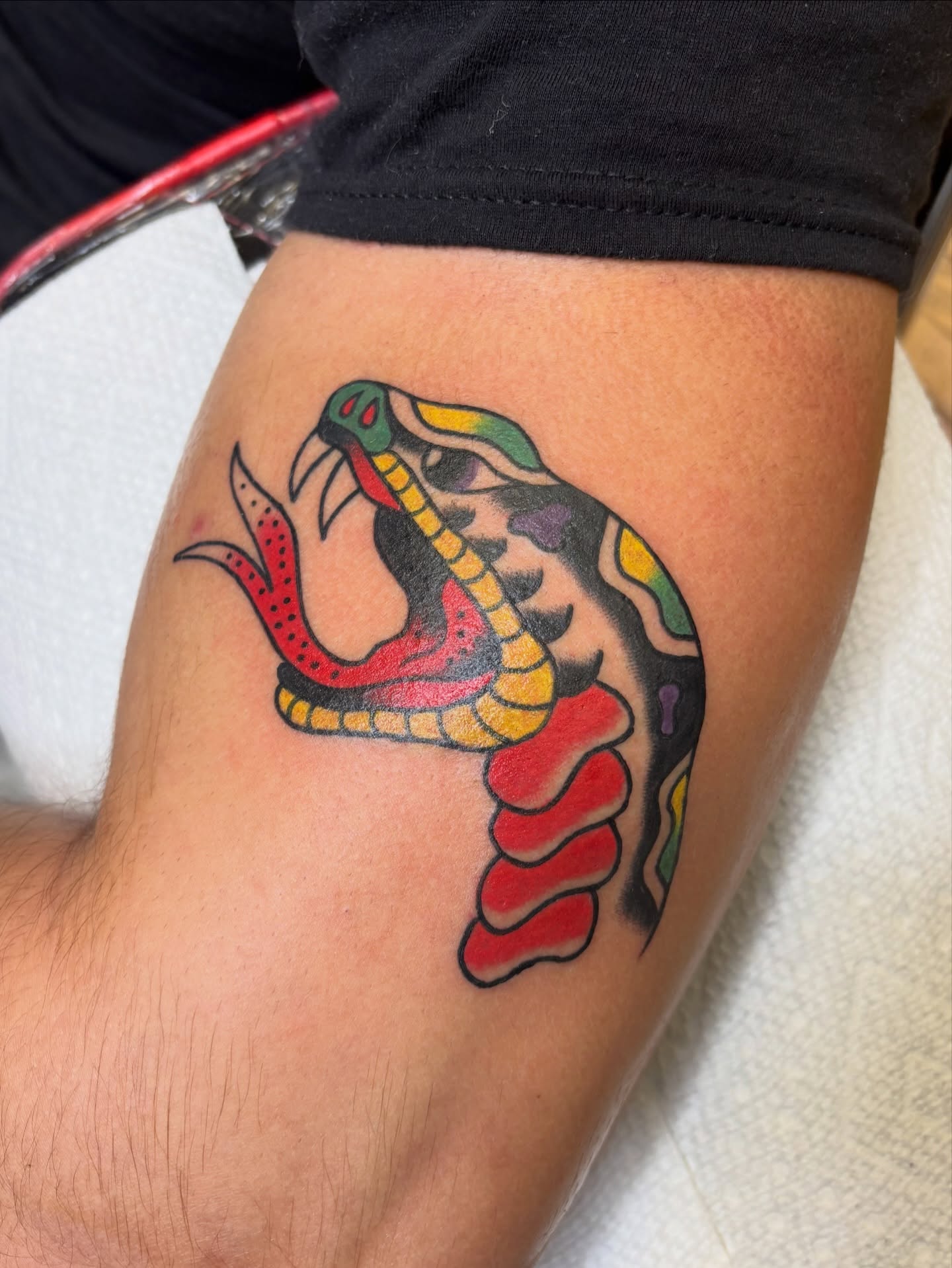 Snake American traditional tattoo on the forearm by Cooper Reichwein