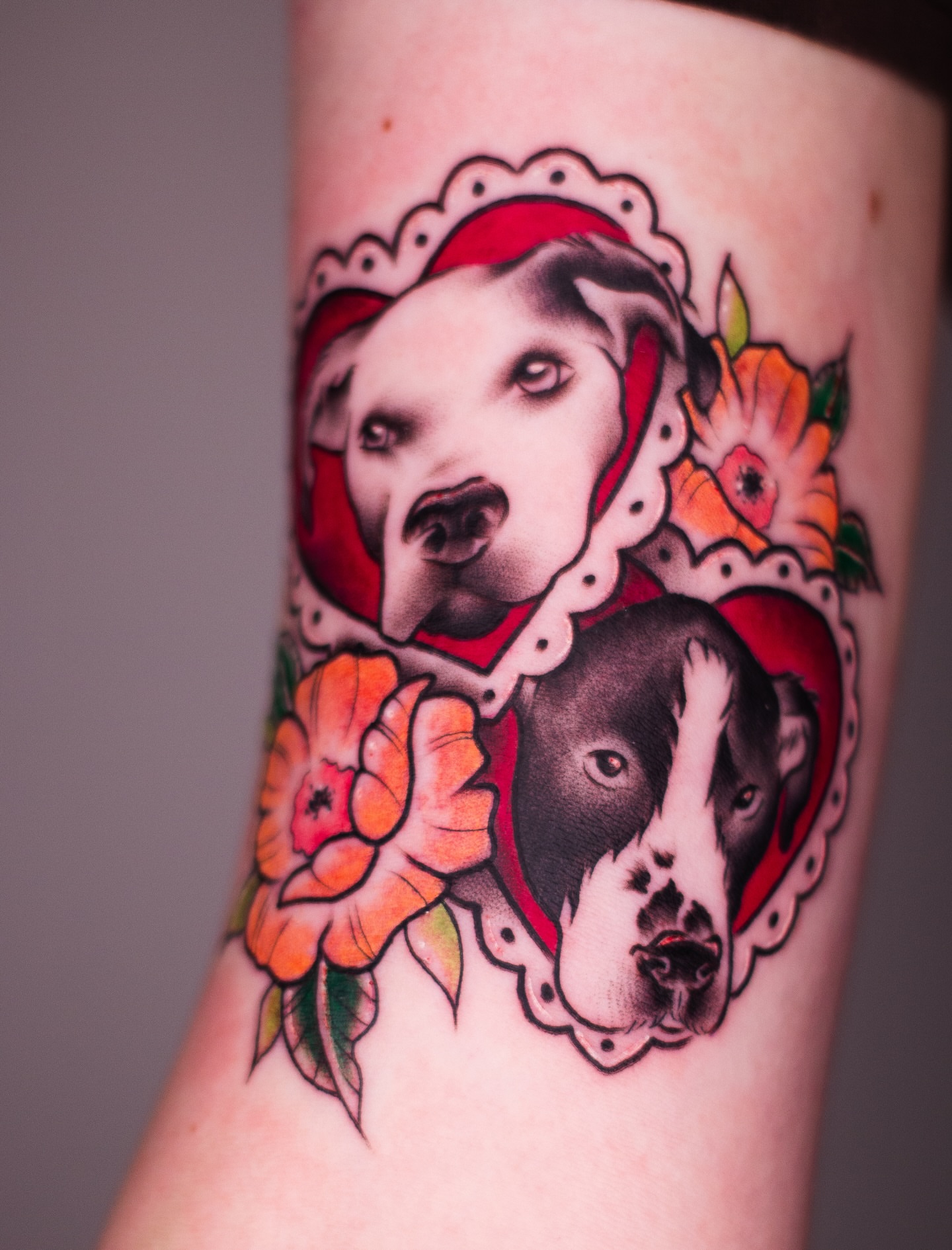 Pit bulls and flowers American traditional tattoo on the forearm by Tattoo & Body Artist, Gastonia, North Carolina