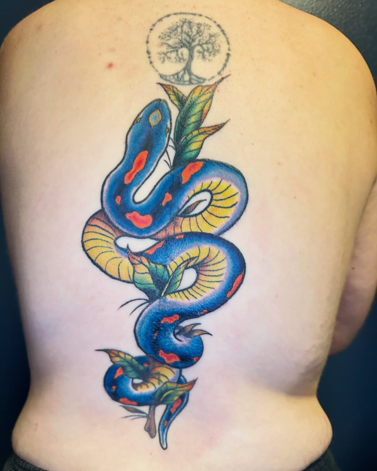 Snake and plant American traditional tattoo on the back by Maggie De La Torre ๐ณ๏ธโโง๏ธ๐ฒ๐ฝ