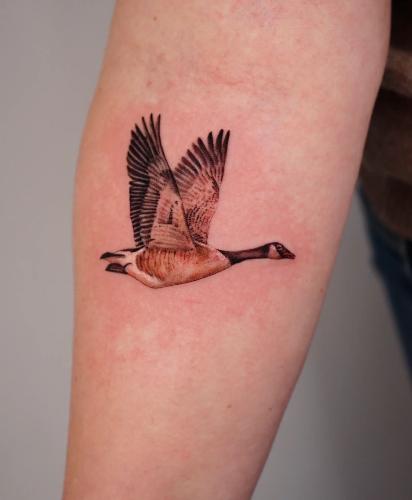 Flying goose realism tattoo on the forearm by Vii