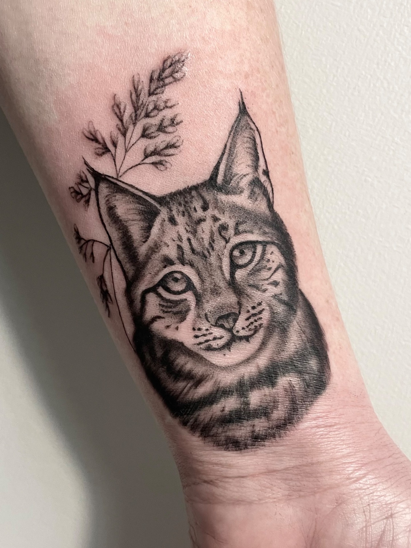 Lynx realism tattoo on the forearm by @tatts_by_kat