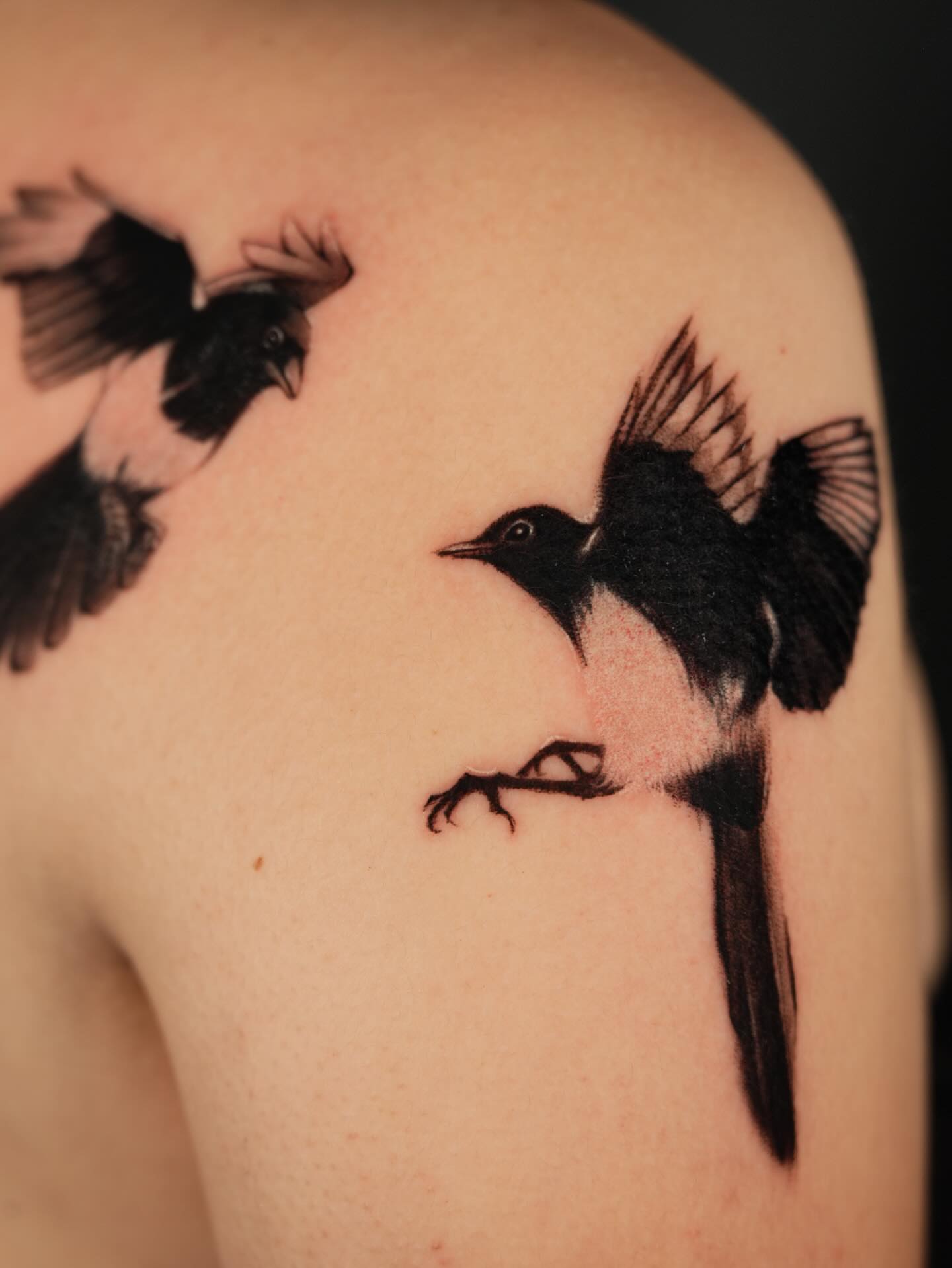 Birds realism tattoo on the shoulder by Shihao zhao