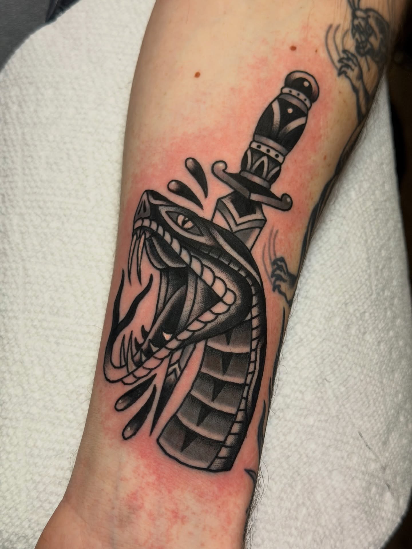 Snake and dagger American traditional tattoo on the forearm by Brandon Bear